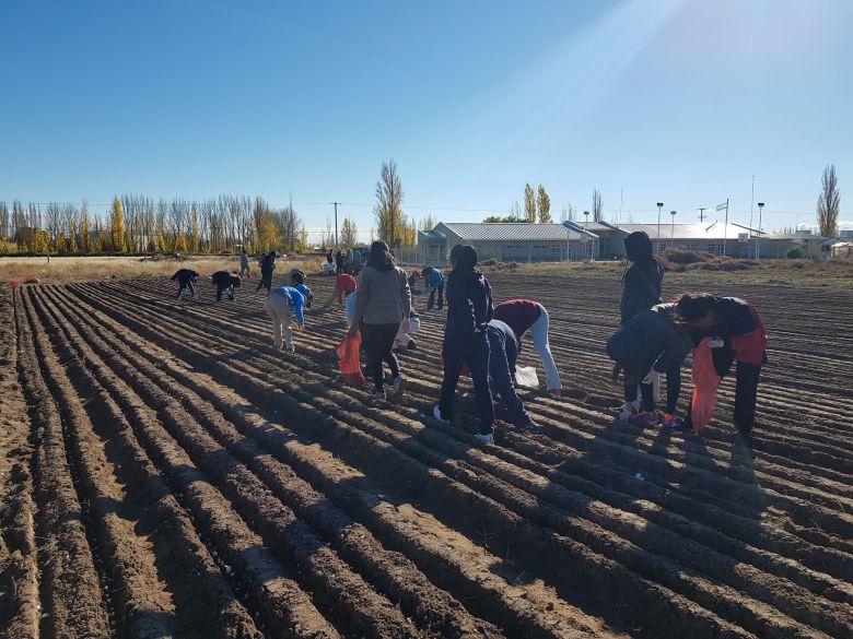 La escuela rural de Mendoza que necesita un tractor para completar el aprendizaje de sus 220 alumnos