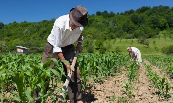 La Municipalidad y Bio4 firman convenio para promover la agricultura orgánica