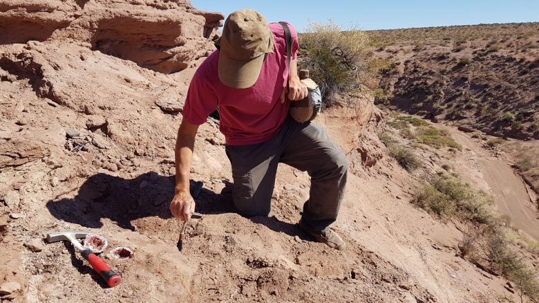 La joya de Neuquén, un hallazgo mineral único en el mundo