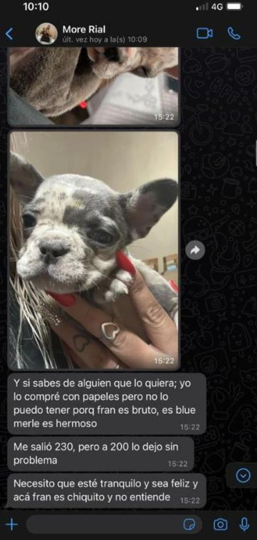 Aseguran que More Rial vende a su perro en una cifra muy elevada