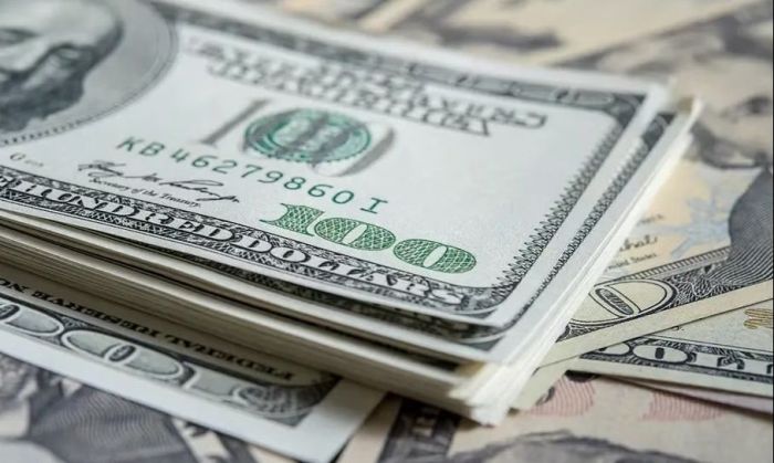 El dólar superó los $ 500 y alcanzó un nuevo récord