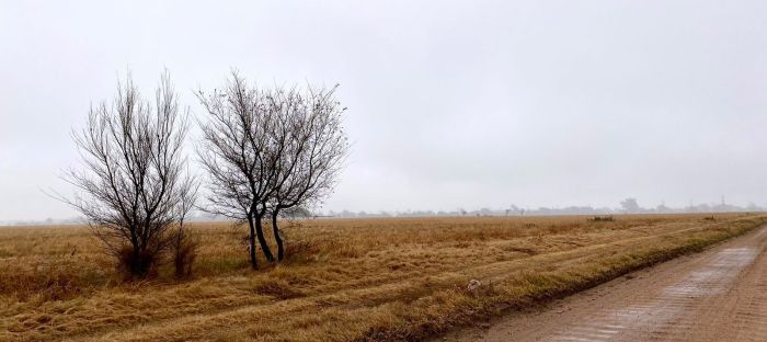 Invierno en la ciudad