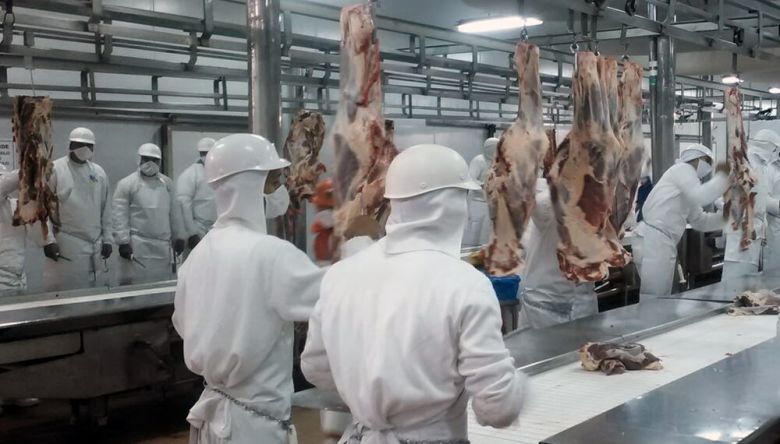 Desde el gremio de la Carne reclaman la habilitación de frigoríficos locales para la exportación