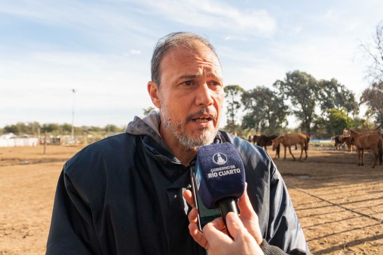 Paso a paso, cómo hay que hacer para adoptar un equino