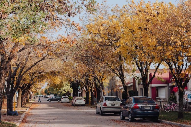 Los partidos deberán donar un árbol por cada pegatina de campaña