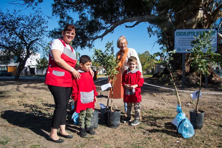 Los partidos deberán donar un árbol por cada pegatina de campaña