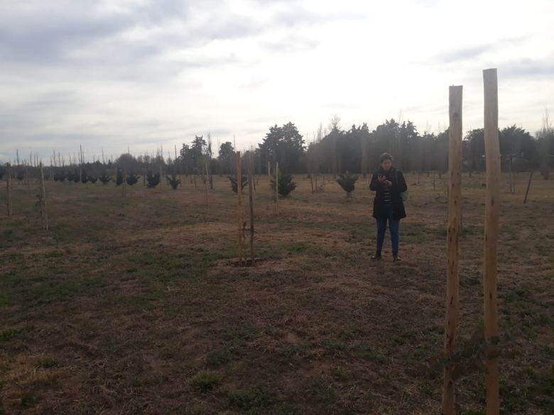 En Bio 4 se plantaron más de mil árboles en conjunto con el colegio Indio Felipe Rosas y el municipio