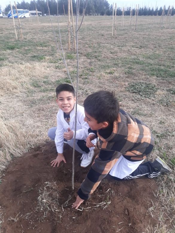 En Bio 4 se plantaron más de mil árboles en conjunto con el colegio Indio Felipe Rosas y el municipio