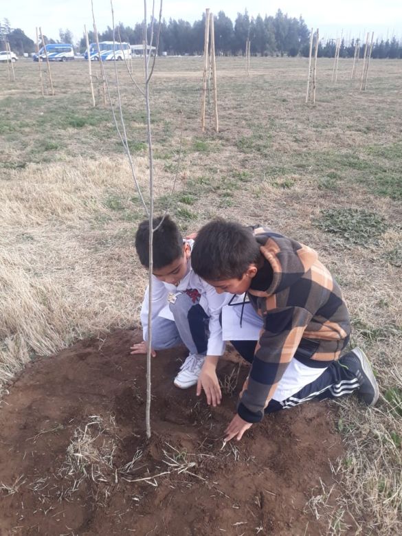 En Bio 4 se plantaron más de mil árboles en conjunto con el colegio Indio Felipe Rosas y el municipio