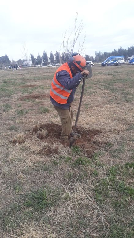 En Bio 4 se plantaron más de mil árboles en conjunto con el colegio Indio Felipe Rosas y el municipio