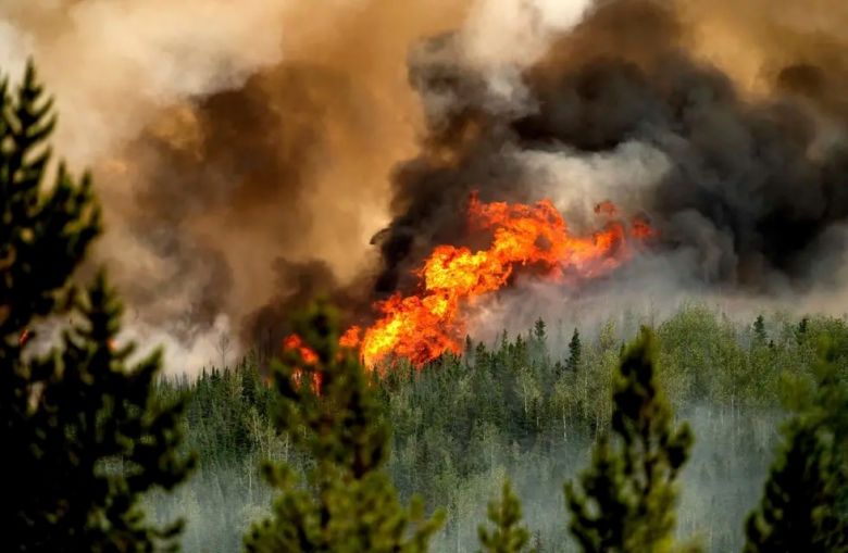 Día de la Prevención de Incendios Forestales 