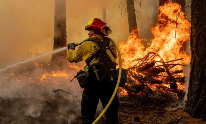 Día de la Prevención de Incendios Forestales 