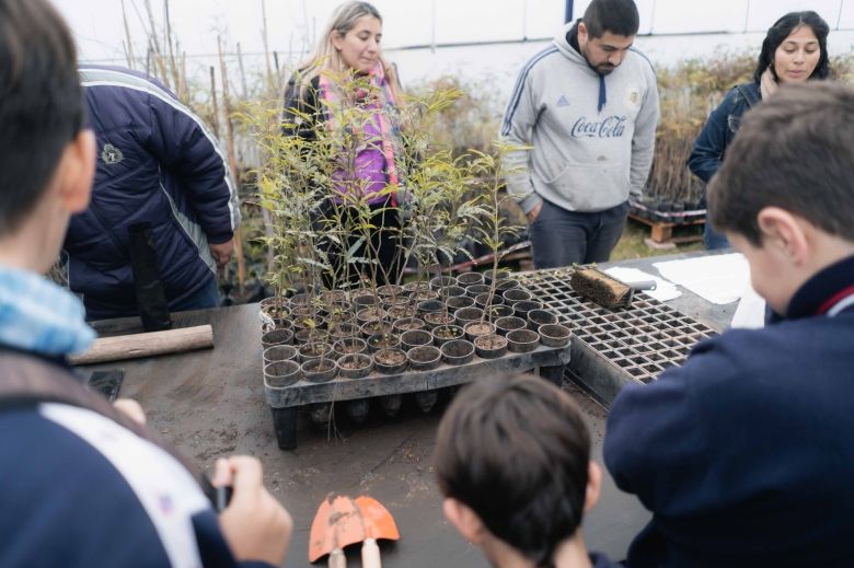 Avanza la forestación de la ciudad y este año se llegará a los 15 mil ejemplares 