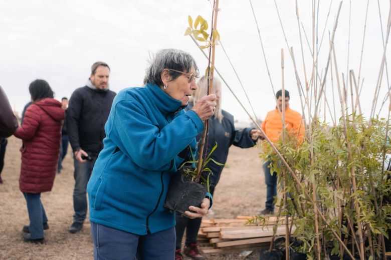 Avanza la forestación de la ciudad y este año se llegará a los 15 mil ejemplares 