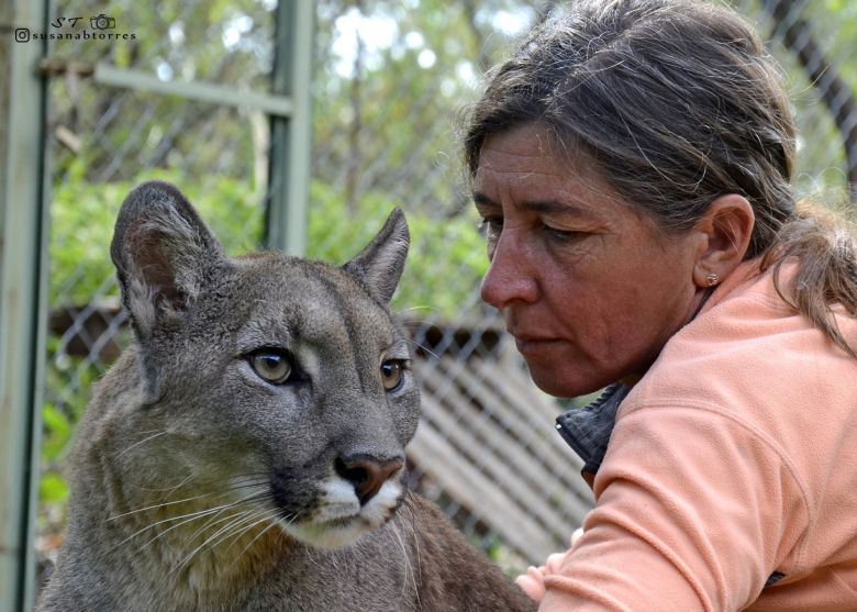 La reserva natural Pumakawa realizará la 1° jornada para disminuir el daño del puma en el ganado