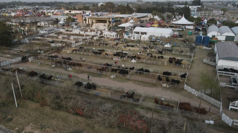 Más de 15 mil personas dijeron presente en el tercer día de la Expo 89º