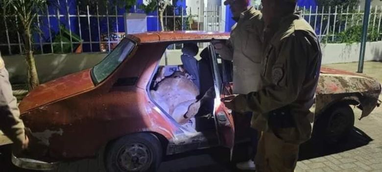 Control: se robaban un ternero y tres lechones en un Renault 12