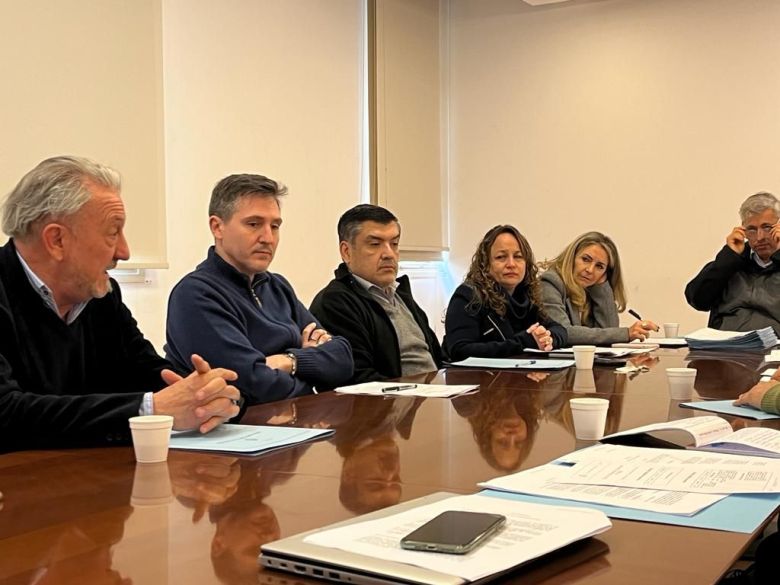 El Senado discute en comisión un proyecto de Vigo para declarar economía regional a la industria lechera 