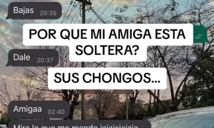 “¿Por qué mi amiga está soltera?”: recibió un mensaje de un chico que le cantó un clásico infantil 