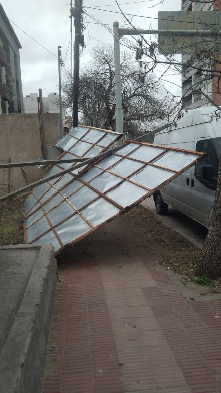 Por los fuerte vientos se cayó un cartel de un local encima de una mujer