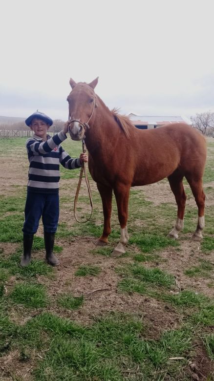 Un niño recorre 16 kilómetros a caballo para ir a la escuela en Sierra de la Ventana