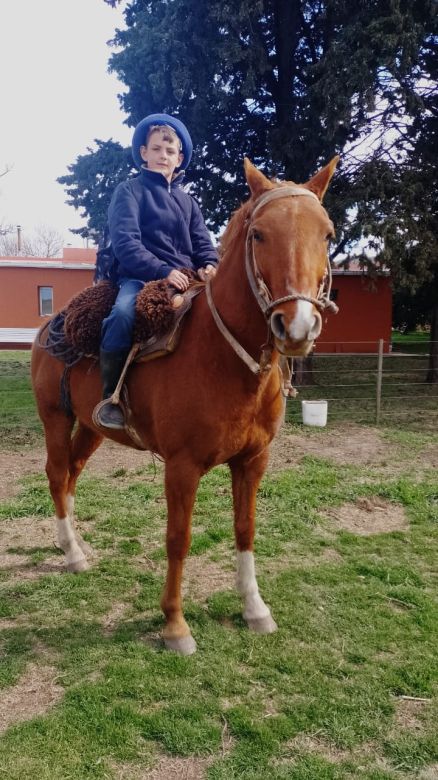 Un niño recorre 16 kilómetros a caballo para ir a la escuela en Sierra de la Ventana