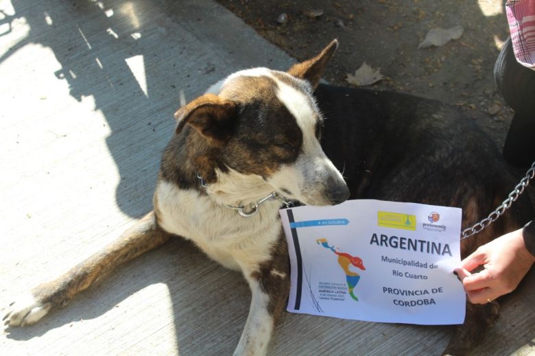 Río Cuarto participó de la 2° Jornada de Castración Masiva de América Latina