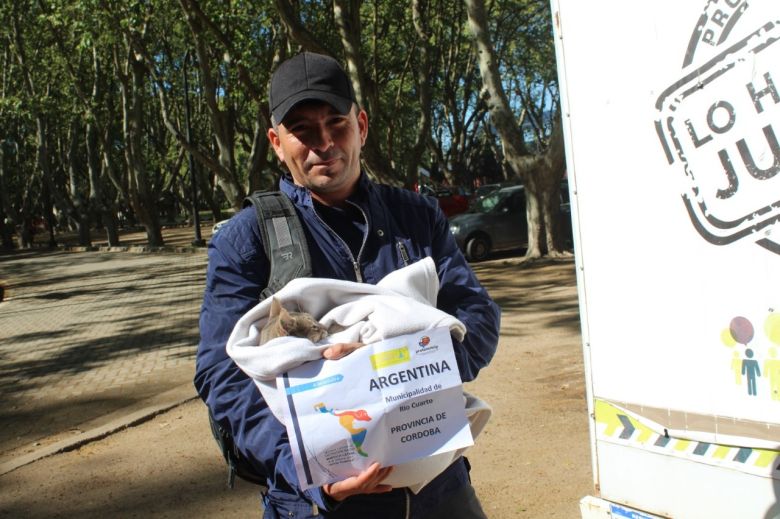 Río Cuarto participó de la 2° Jornada de Castración Masiva de América Latina