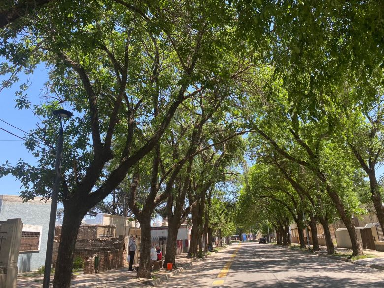 La semana comienza con altas temperaturas