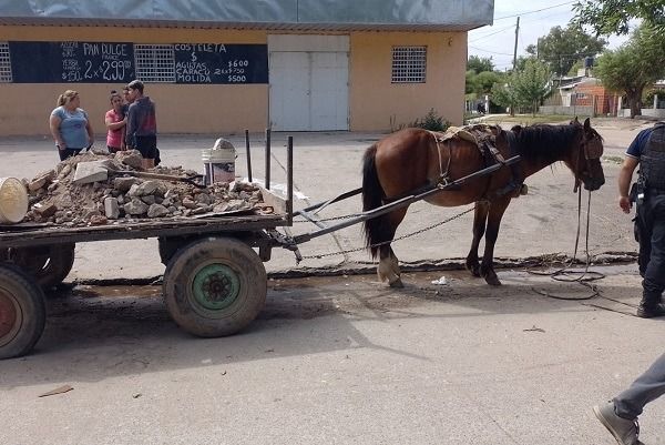 Aseguran que en Río Cuarto está vigente la ordenanza que prohíbe el uso de la tracción a sangre