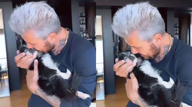 Marcelo Tinelli despidió a su perrita con un conmovedor video: “Fue testigo de innumerables momentos hermosos”