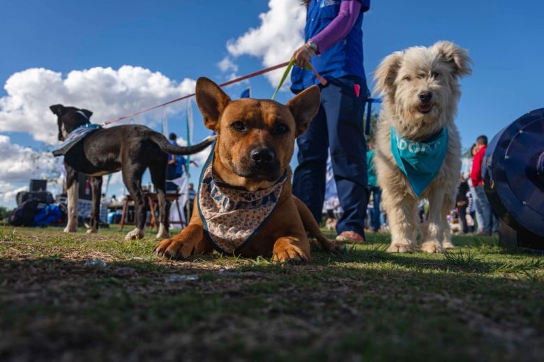 Llega una nueva edición de la Caminata Canina en el Parque del Centro Cívico