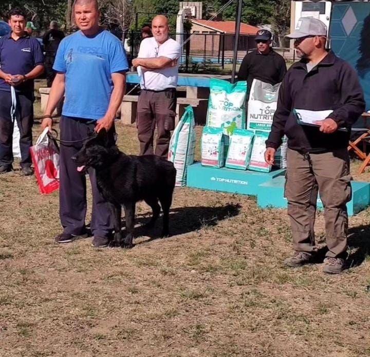 Se realizó la 1° Competencia de Perros de Utilidad y Servicio