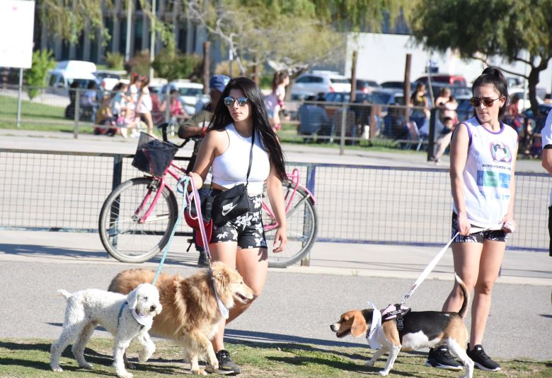 Más de 200 perros participaron de la Caminata Canina en el Parque del Centro Cívico