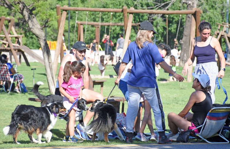 Más de 200 perros participaron de la Caminata Canina en el Parque del Centro Cívico