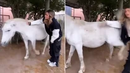 Julieta Poggio trató de acariciar a un caballo y se llevó una dolorosa sorpresa