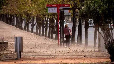 Defensa Civil ante el alerta por Zonda: “Estamos recomendando a la población no salir y no hacer actividades al aire libre”