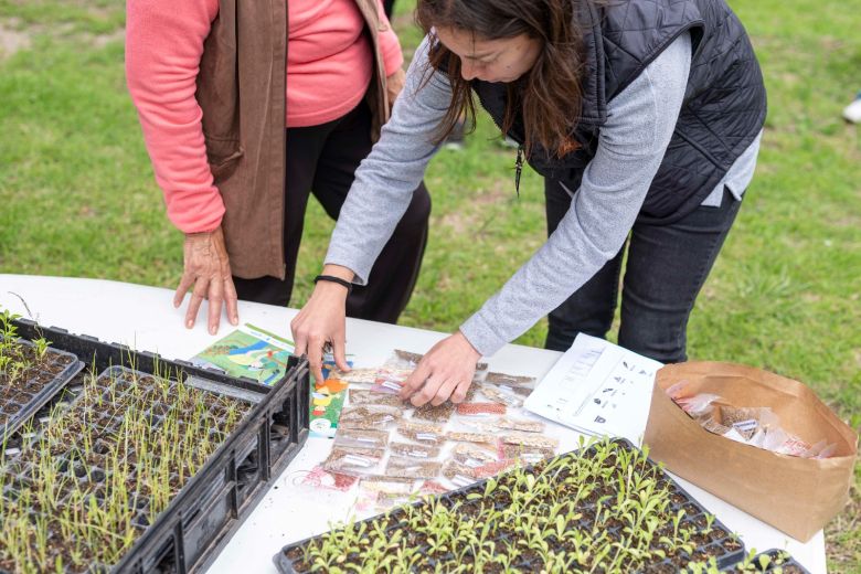 Agricultura Familiar: sembraron plantines de temporada en el predio de la Fundación Social 