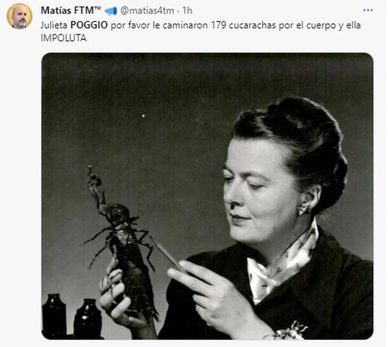 Los mejores memes de la cucaracha en el vestido de Julieta Poggio en Gran Hermano 2023 