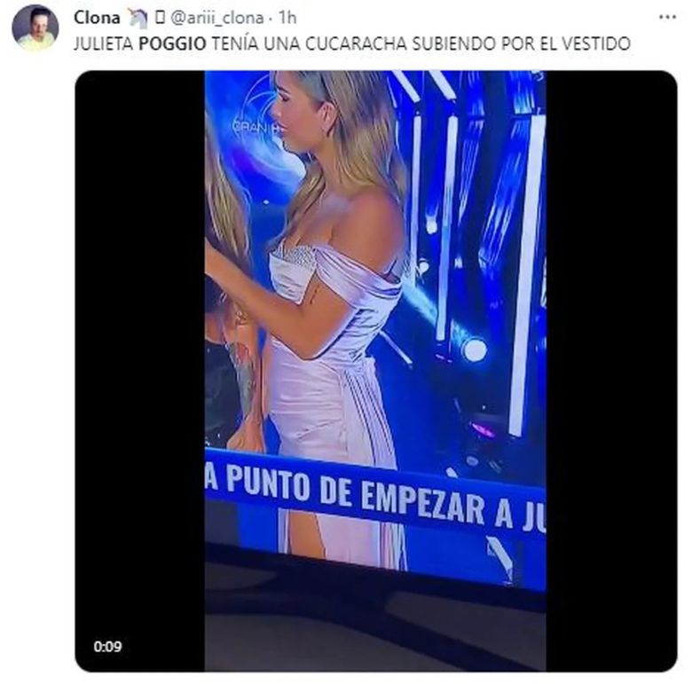 Los mejores memes de la cucaracha en el vestido de Julieta Poggio en Gran Hermano 2023 