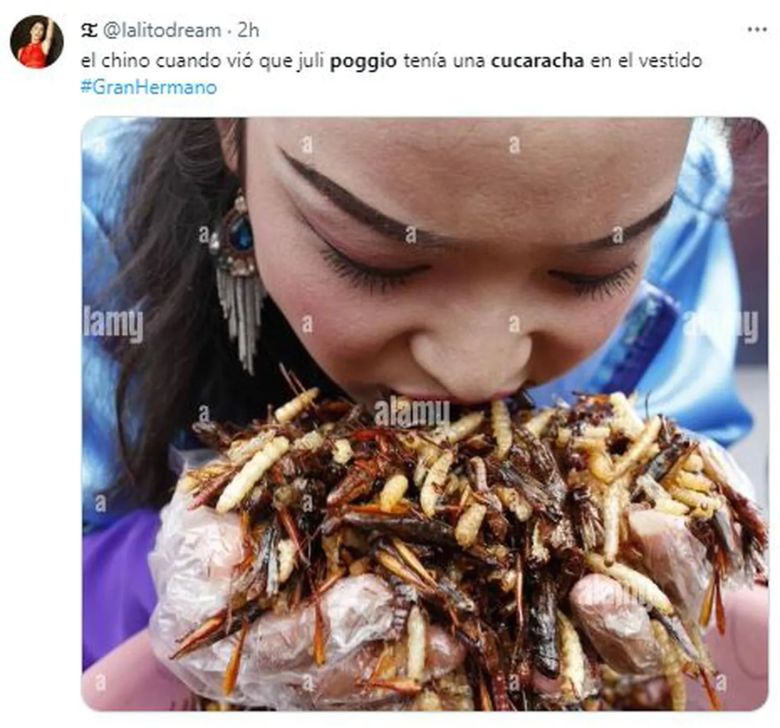 Los mejores memes de la cucaracha en el vestido de Julieta Poggio en Gran Hermano 2023 