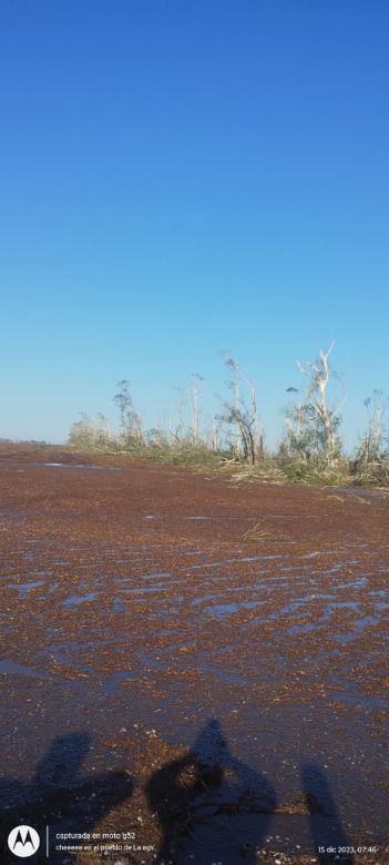 Una tormenta desató daños en la zona rural de Las Acequias