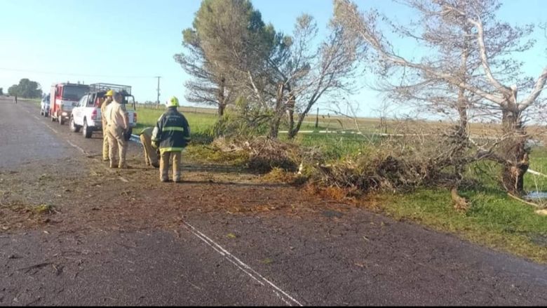 Una tormenta desató daños en la zona rural de Las Acequias