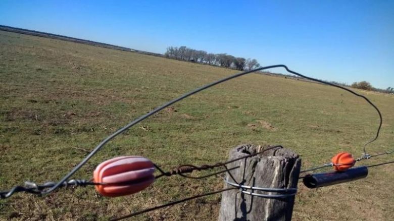 Alejandro Roca: cable de boyero eléctrico enredado en una planta tocó una línea de media tensión y murió un hombre 