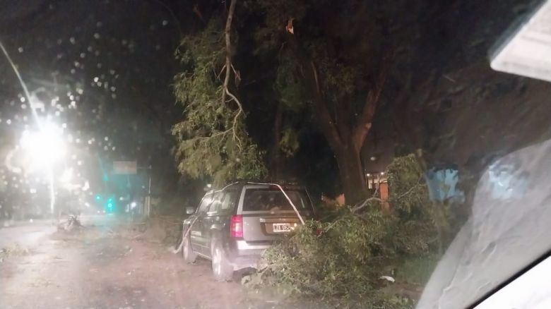 Fuertes tormentas hicieron destrozos en la ciudad