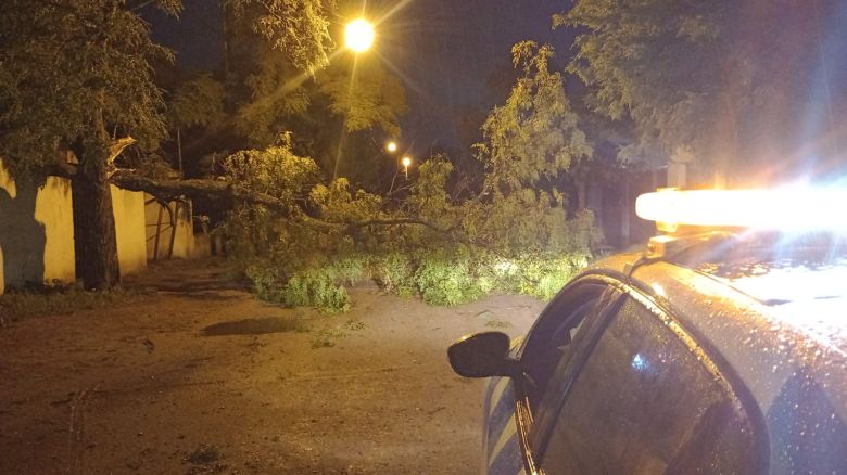 Fuertes tormentas hicieron destrozos en la ciudad