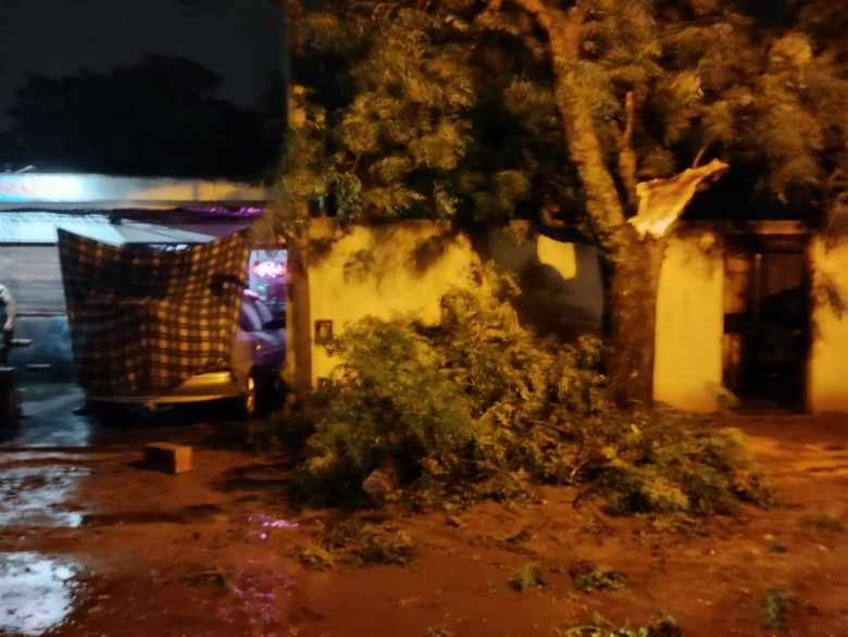 Fuertes tormentas hicieron destrozos en la ciudad