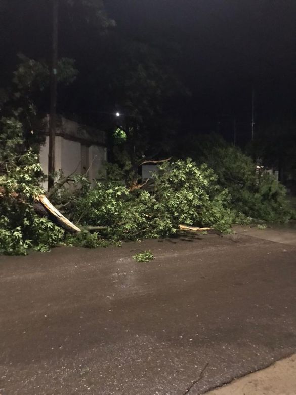 Fuertes tormentas hicieron destrozos en la ciudad