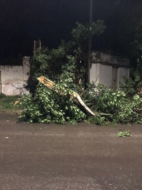 Fuertes tormentas hicieron destrozos en la ciudad