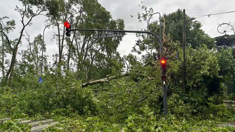 Autos destrozados, árboles caídos y cortes de luz en el AMBA